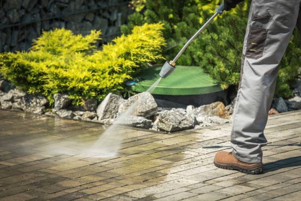 Animal Enclosure Cleaning in Burnham, IL