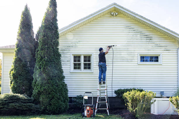 Best Graffiti Removal  in Burnham, IL